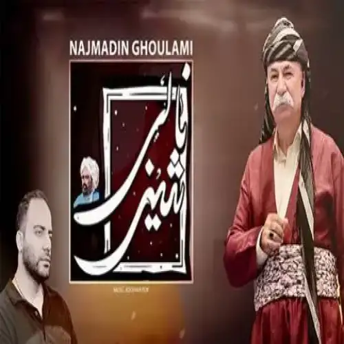 شینی نالی
